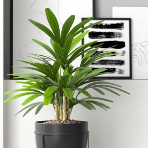 Meet your Posher, R - Picture 2 of 4